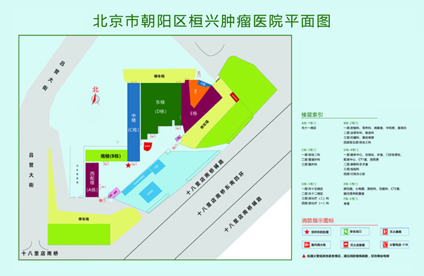 操抠逼网站北京市朝阳区桓兴肿瘤医院平面图